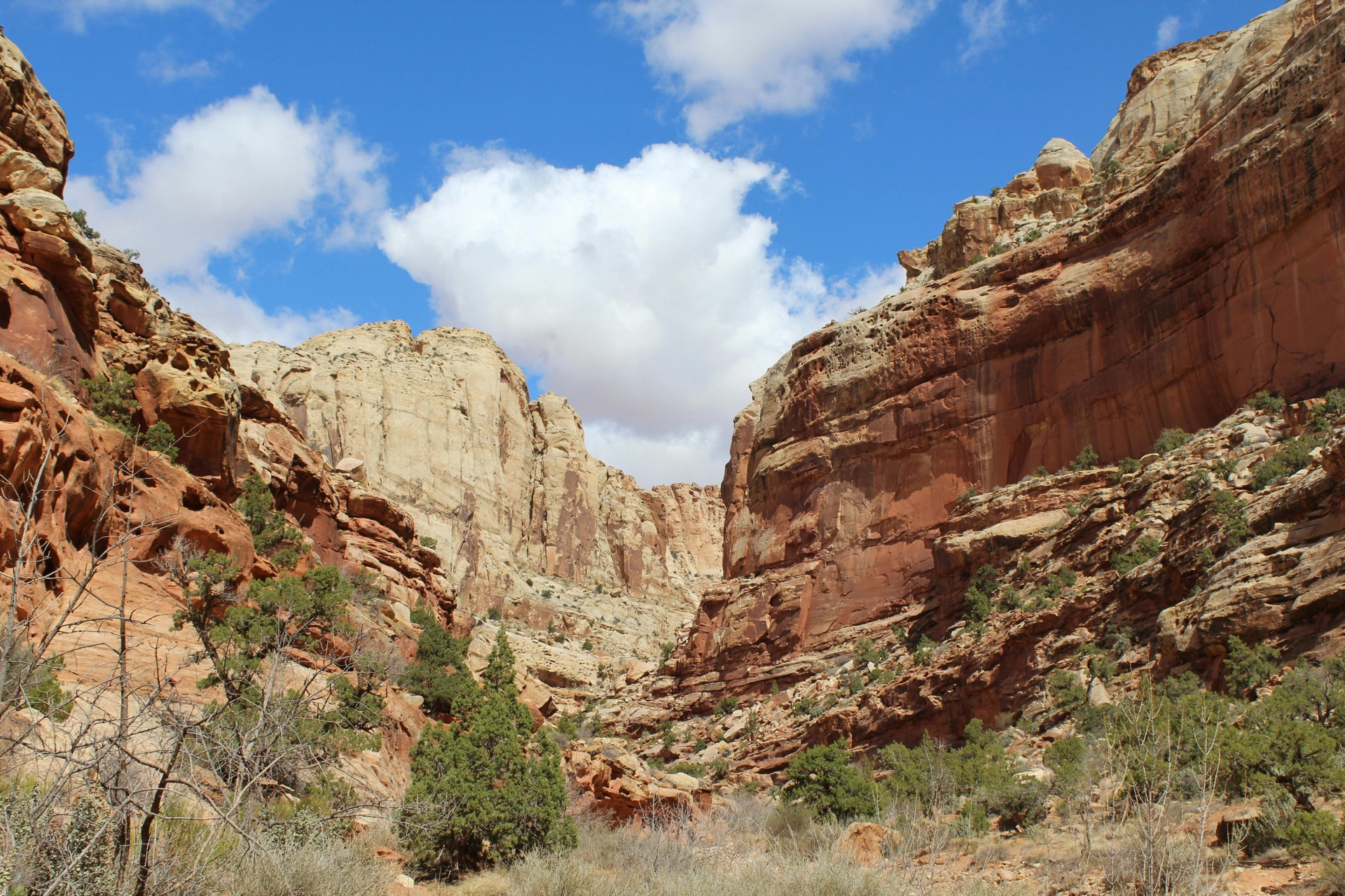 Southern Utah landscape